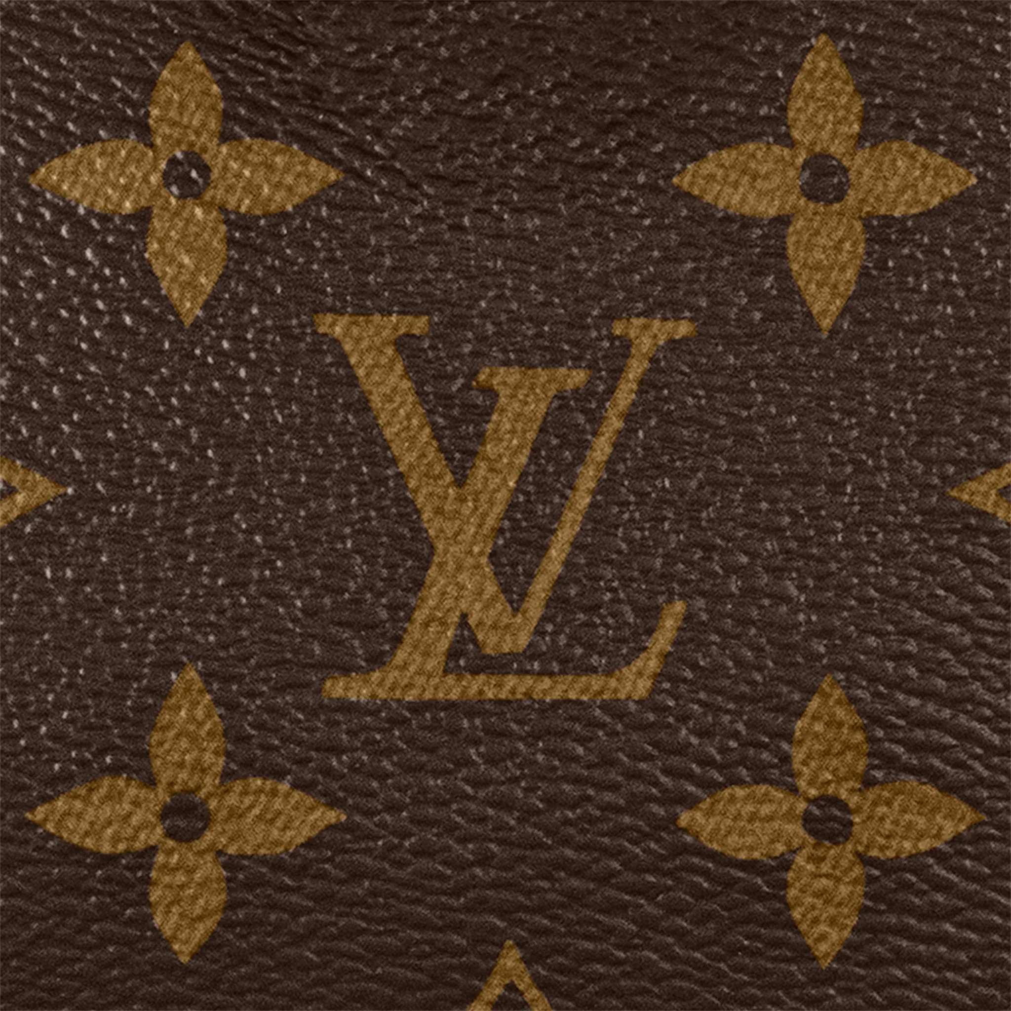 LV Nano Speedy M81085