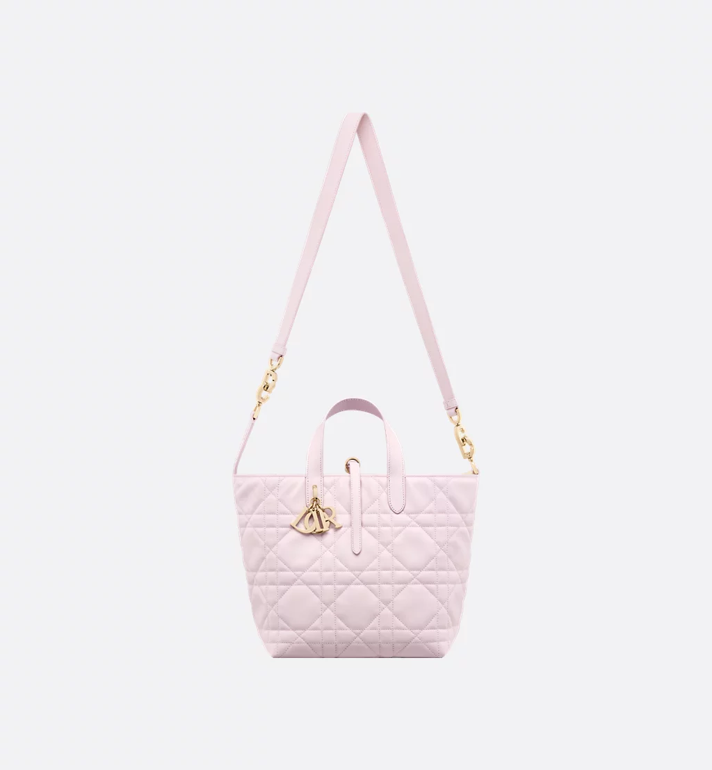 Medium Dior Toujours Vertical Tote Bag