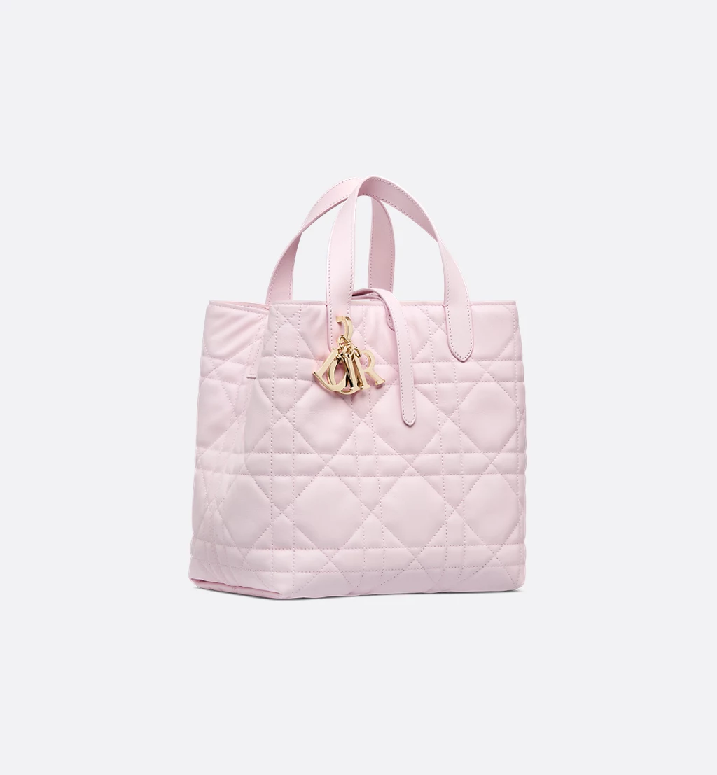Medium Dior Toujours Vertical Tote Bag