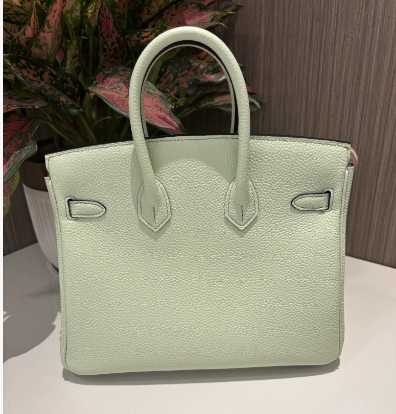 Hermes Birkin Sellier 25 Vert Fizz Epsom Palladium Hardware