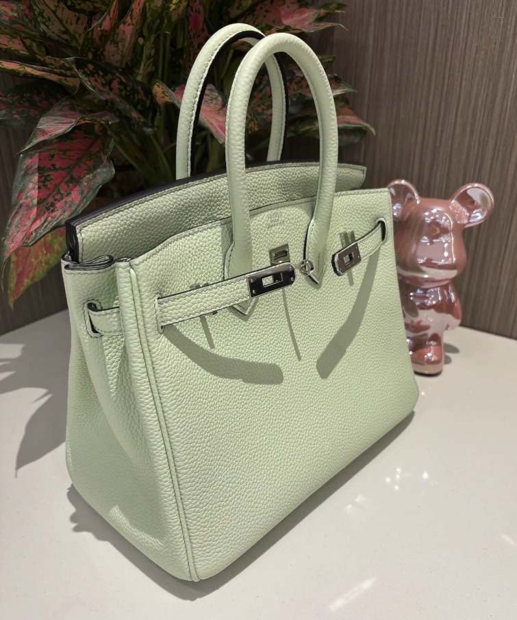 Hermes Birkin Sellier 25 Vert Fizz Epsom Palladium Hardware