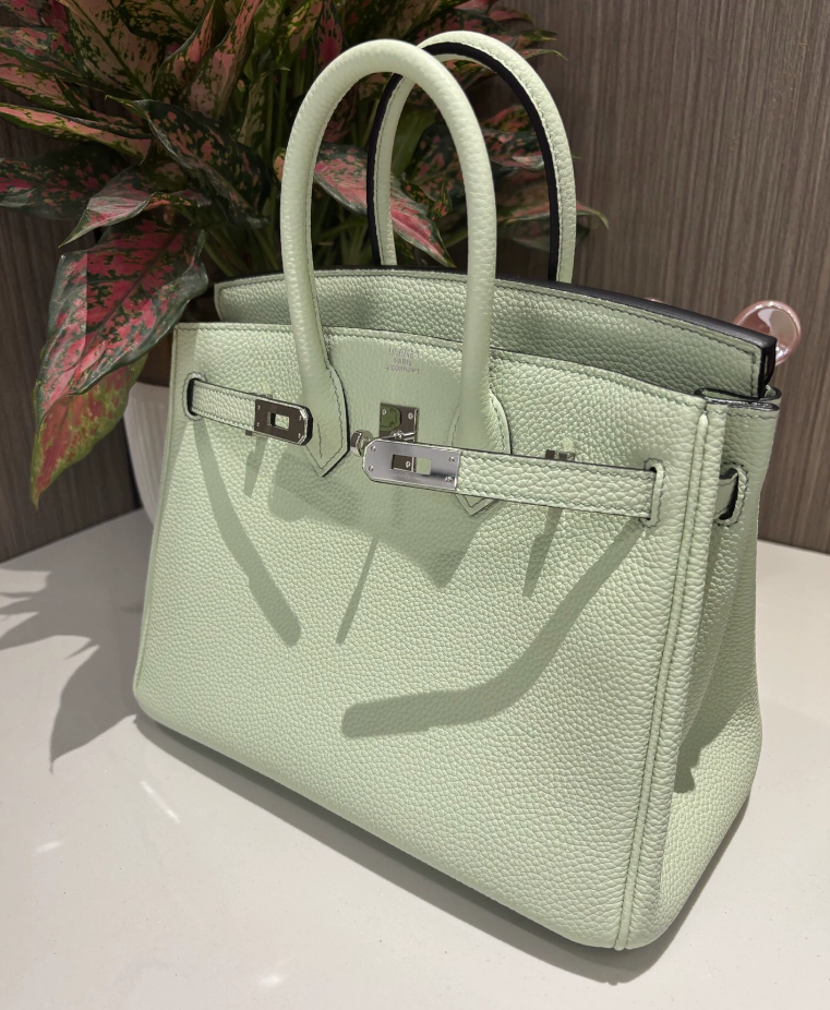 Hermes Birkin Sellier 25 Vert Fizz Epsom Palladium Hardware