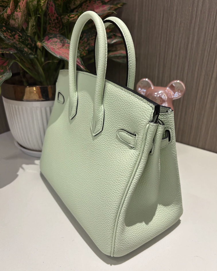 Hermes Birkin Sellier 25 Vert Fizz Epsom Palladium Hardware