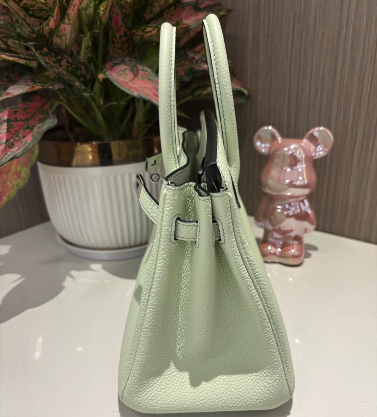 Hermes Birkin Sellier 25 Vert Fizz Epsom Palladium Hardware