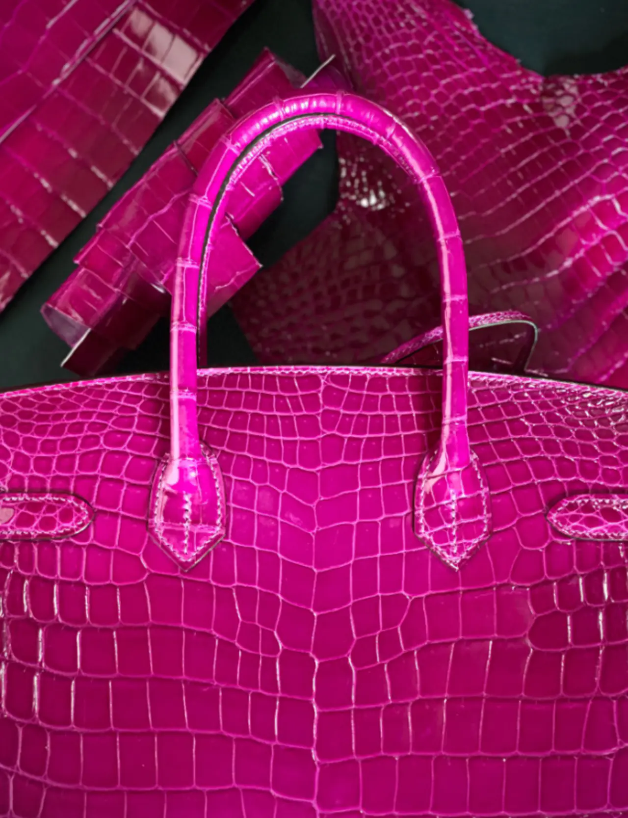Hermès Birkin 30 Bag – Imported Nile Crocodile Skin with Gold Buckle