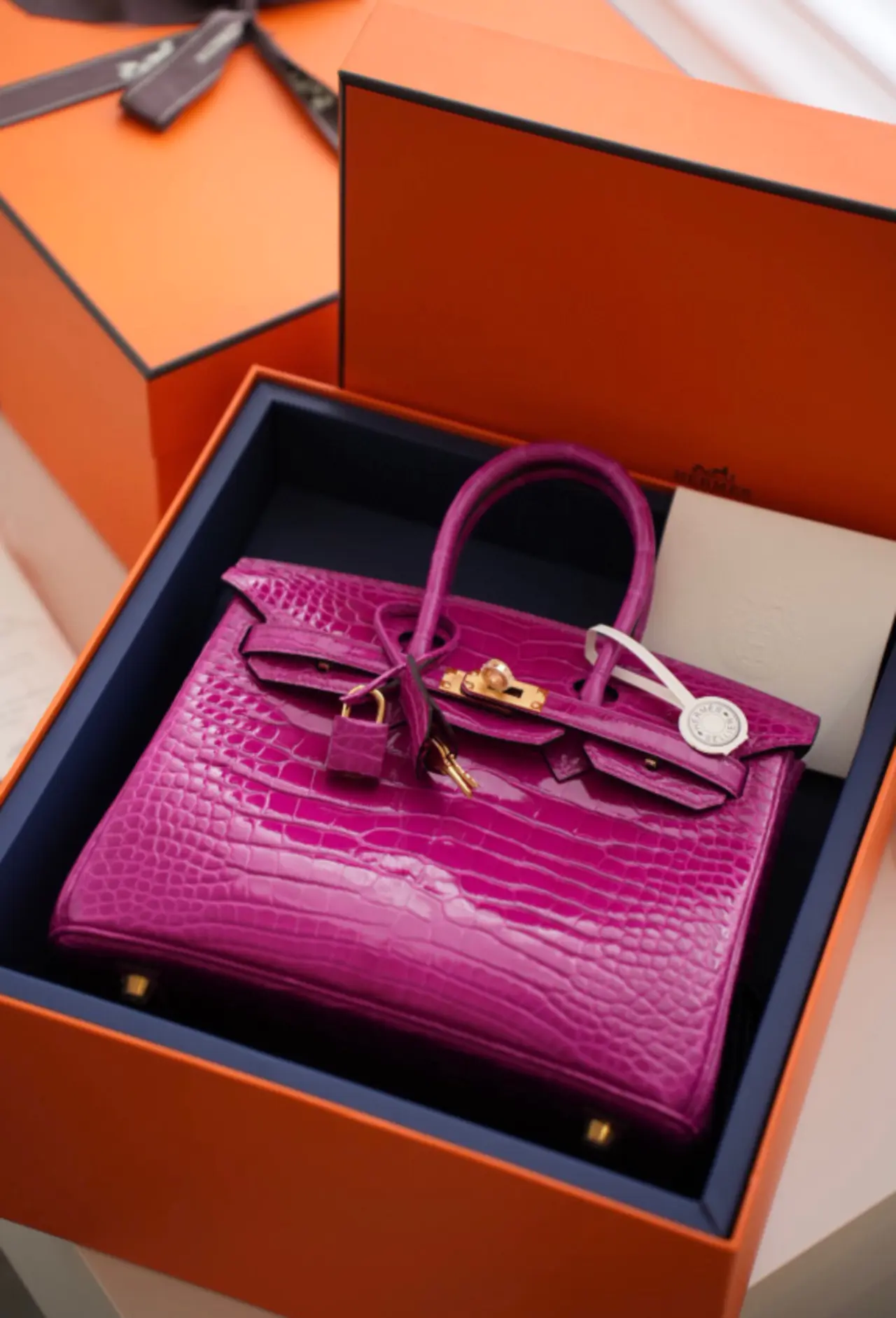 Hermès Birkin 30 Bag – Imported Nile Crocodile Skin with Gold Buckle